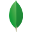 MongoDB icon